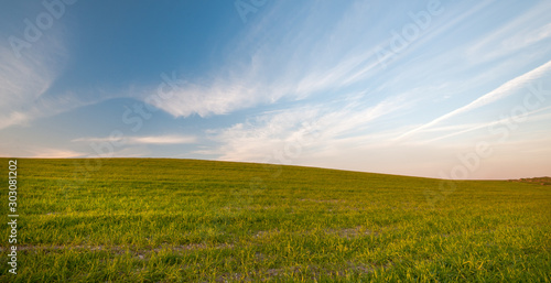 Green field and Blue cloudy Sky Environment