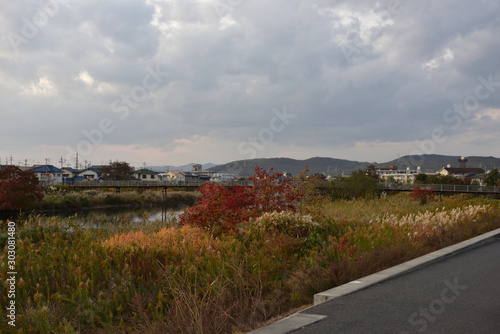 日本の岡山の美しい町の紅葉 © 仁 藤原