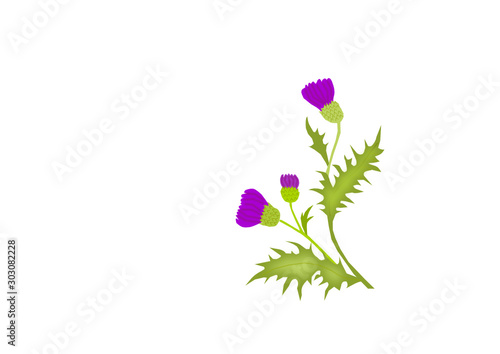 distel