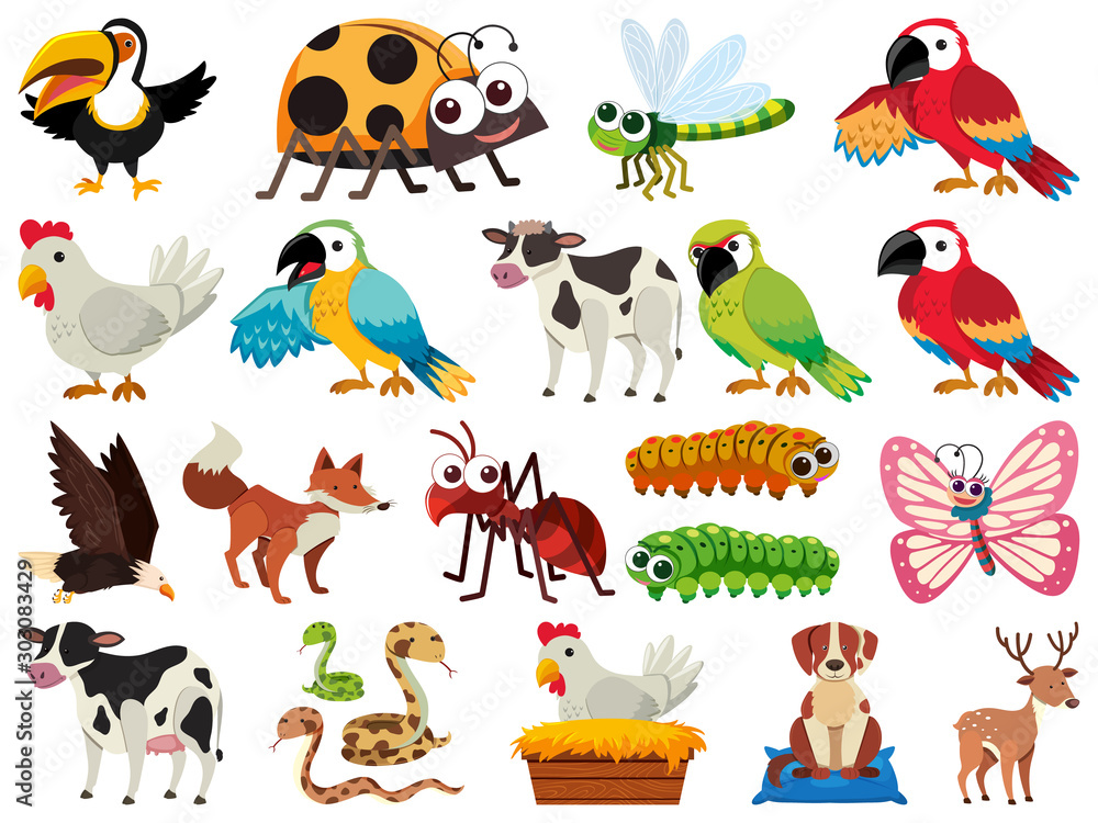 Obraz premium Set of isolated objects theme animals