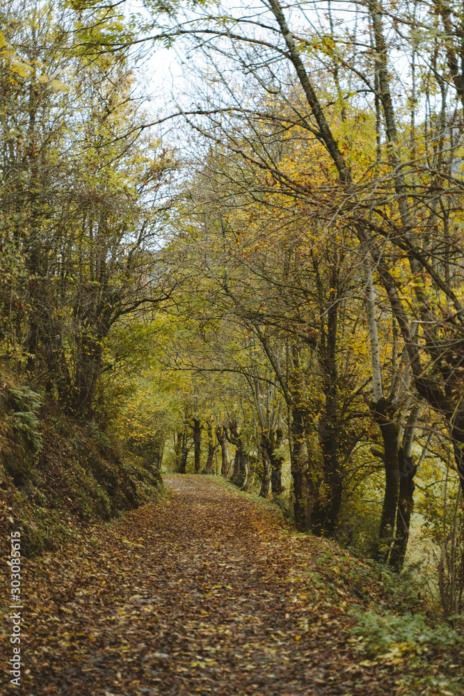 Mountain path in Pyrenees during autumn