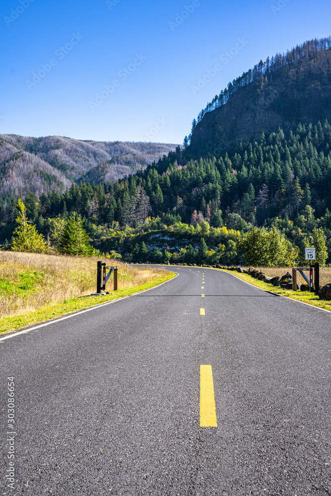 Naklejka premium Road in the protected area of the Columbia River Gorge along the riverbank with mountains and trees
