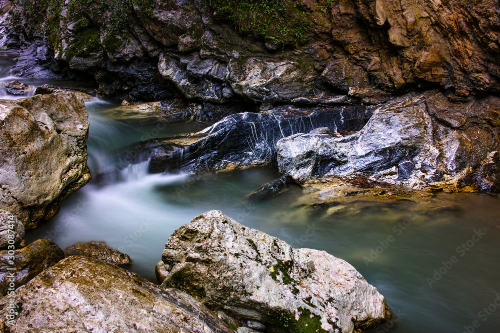 Fototapeta premium Patsos