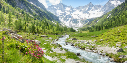 Panorama einer Landschaft mit Wildbach und Gletscher im sommerlichen Zillertal in Tirol Österreich