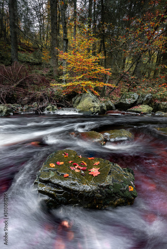 Autumn colours and river