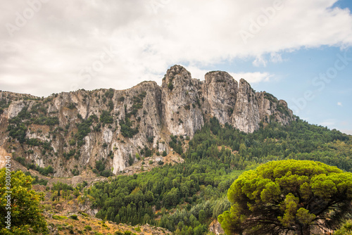 National Park Calabria Aspromonte