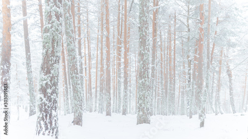 winter background