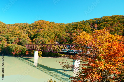 Fototapeta Naklejka Na Ścianę i Meble -  鉄橋と紅葉