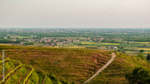 Evening storm in the vineyards © zakaz86