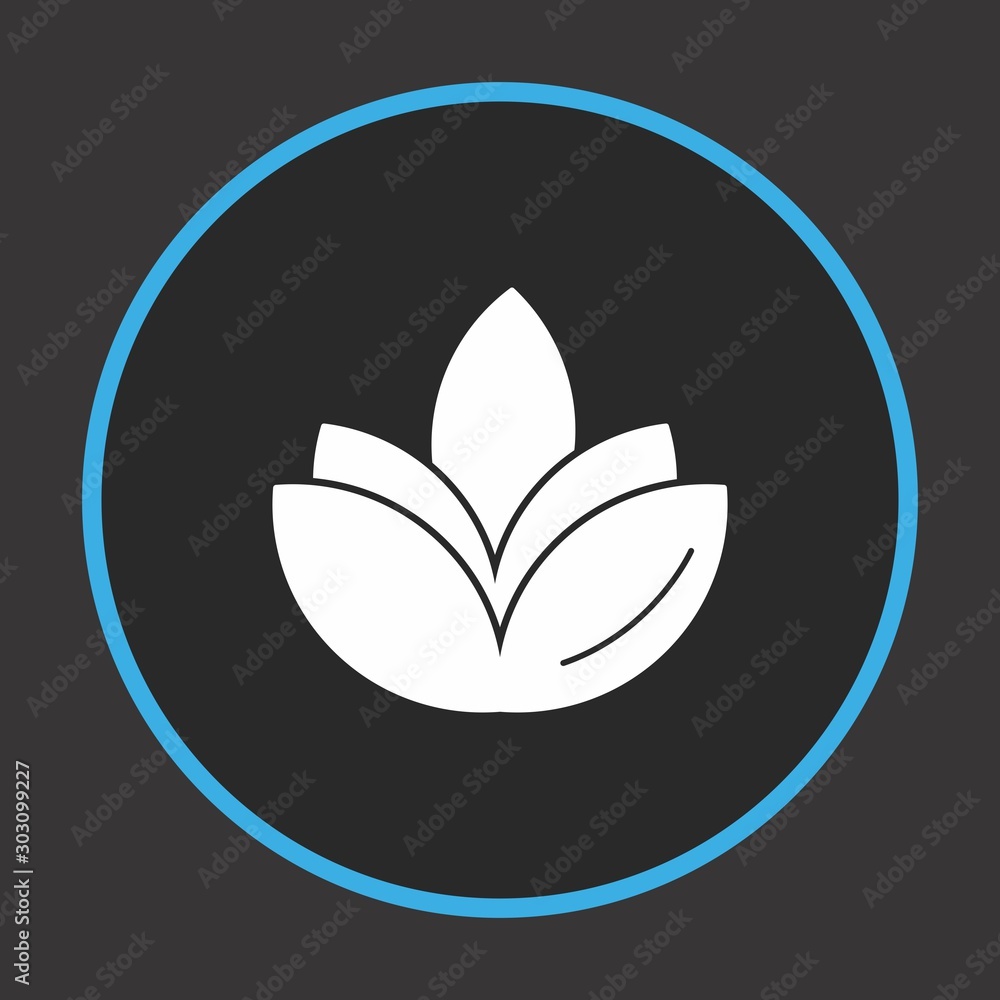 flower diwali icon for your project