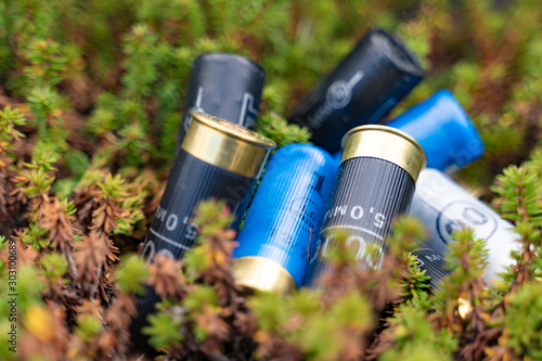 hunting cartridges lying in the grass
