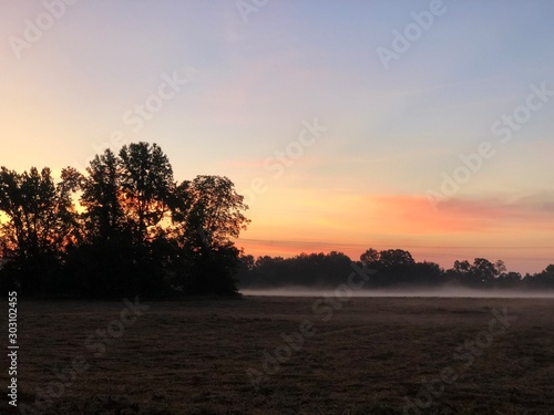 sunset in park