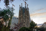 Wide angle shot of La Sagrada Familia catholic church in Barcelona. Natural colors.