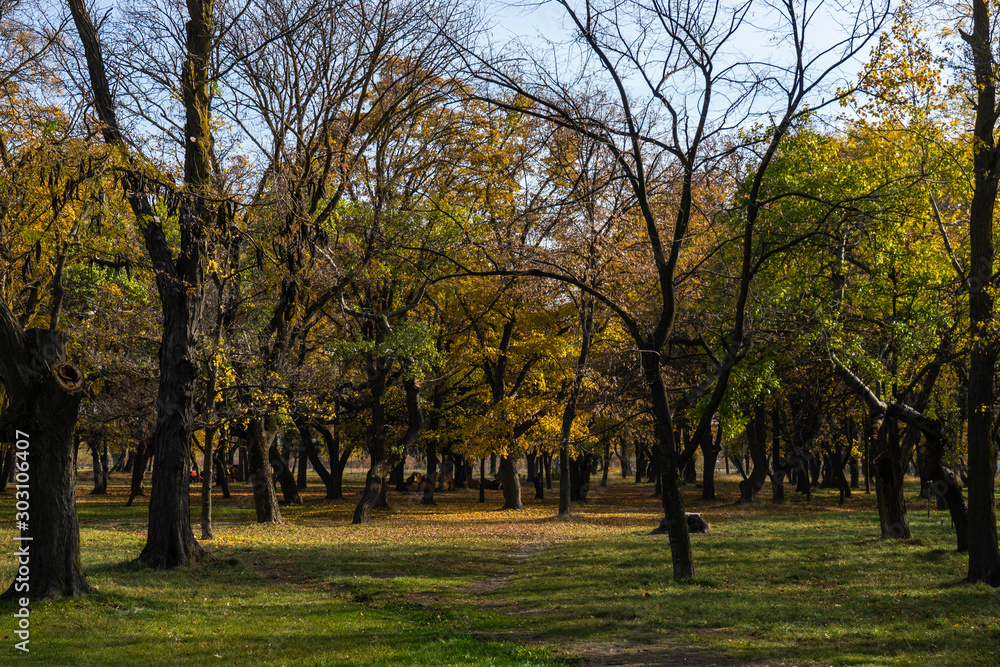 Naklejka premium Famous Chateau Mukhrani