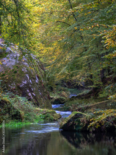 upstream strough the forest - Flu  aufw  rts durch den Wald