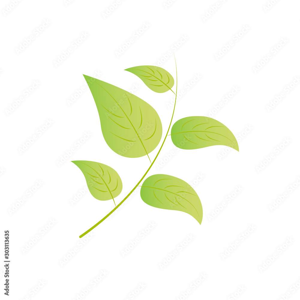 Fototapeta premium Branch with green fresh leaves. Isolated on white background Stock vector graphics.