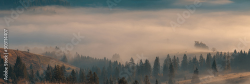 Beautiful panorama of spruce trees covered hills with morning fog in valley. Wide shot of beautiful autumn foggy mountains with spruce forest at early morning at sunrise.