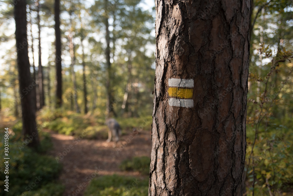 Fototapeta premium Czech Hiking navigation yellow sign on a tree