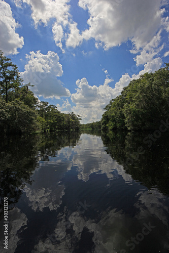 Bright white clouds and cypress trees reflected on exceptionally calm water of Fisheating Creek near Palmdale, Florida. © Francisco