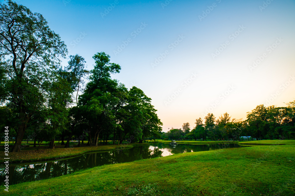 Park pond sunset clorful sky silhouette tree forest Park pond sunset clorful sky silhouette tree forest