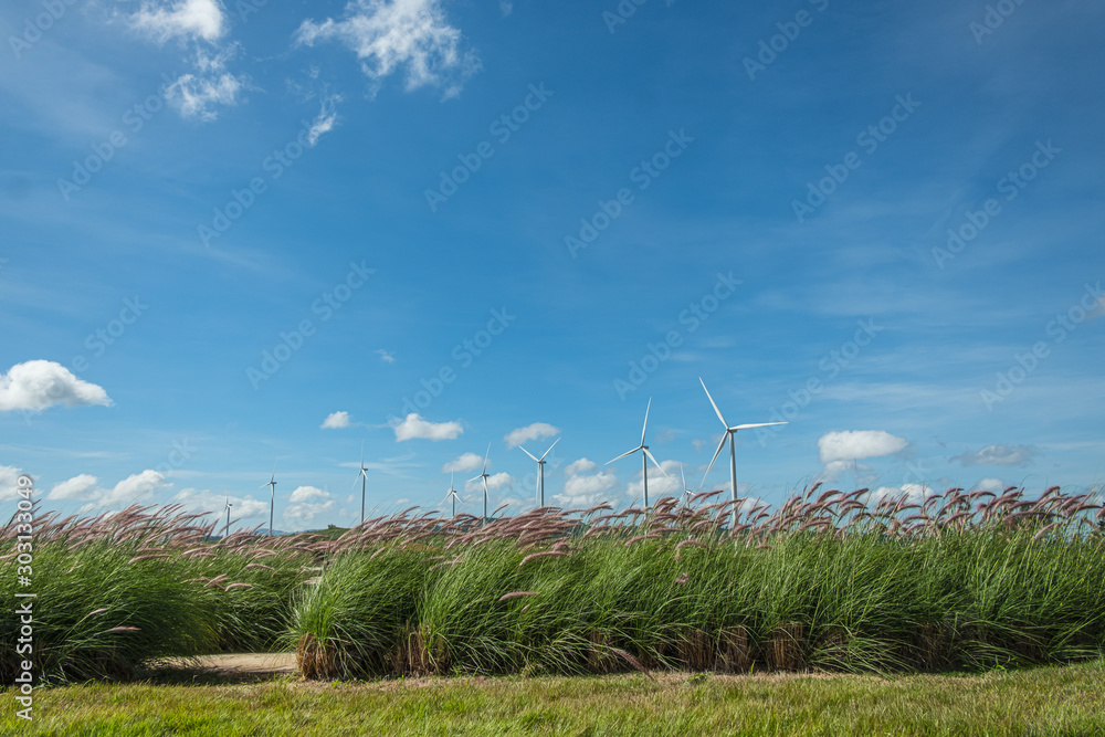 Grassland background with Wind turbines generating electricity ,from wind power for environmental,Clean energy