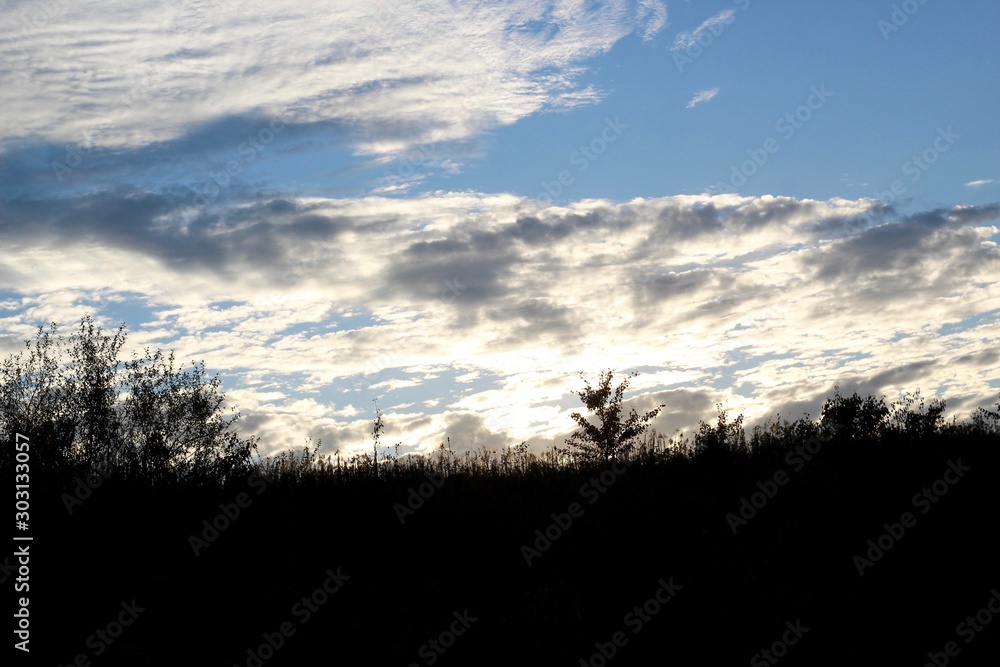 The clouds in the evening skies over the tall grass field. The clouds in the evening skies over the tall grass field.