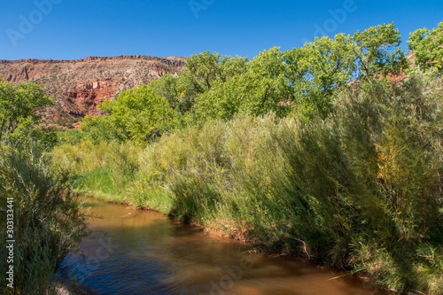 Landscape of Jemez River and trees near Jemez Springs New Mexico