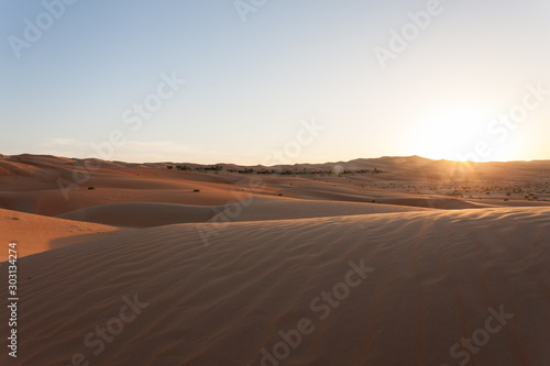 Sunrise in the desert oasis