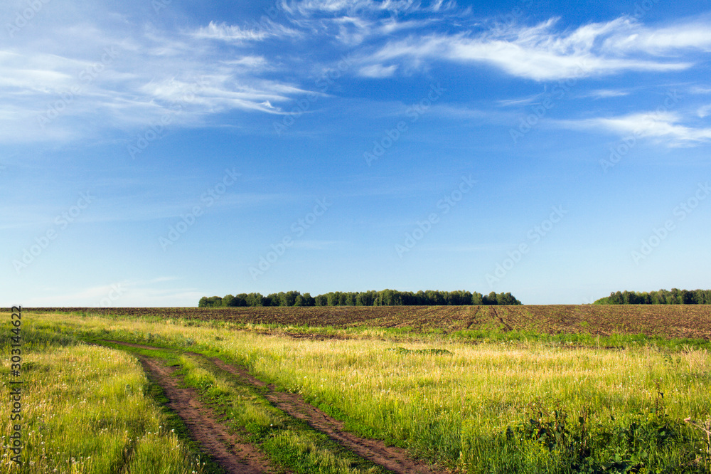 Summer landscape. Rural road to horizont