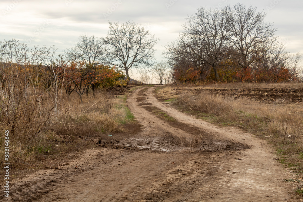 Dirt Road in Rural Region Dirt Road in Rural Region