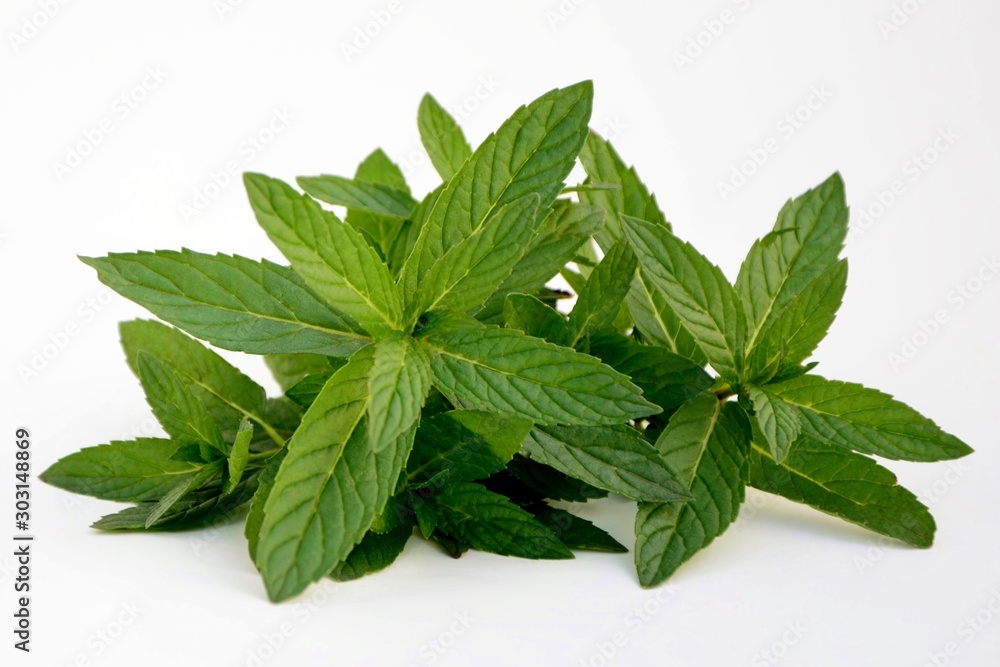 Fototapeta Fresh mint leaves on white background close up.