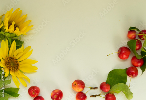 Autumn background Border of yellow sunflower flowers  red apples. Harvest holiday concept. There is a place for text.