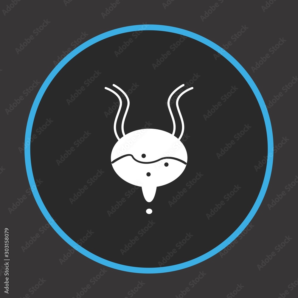 Obraz premium Bladder icon for your project