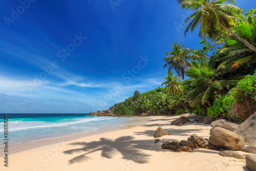 Tropical Sunny beach and coconut palms on Seychelles. Summer vacation and tropical beach concept. 