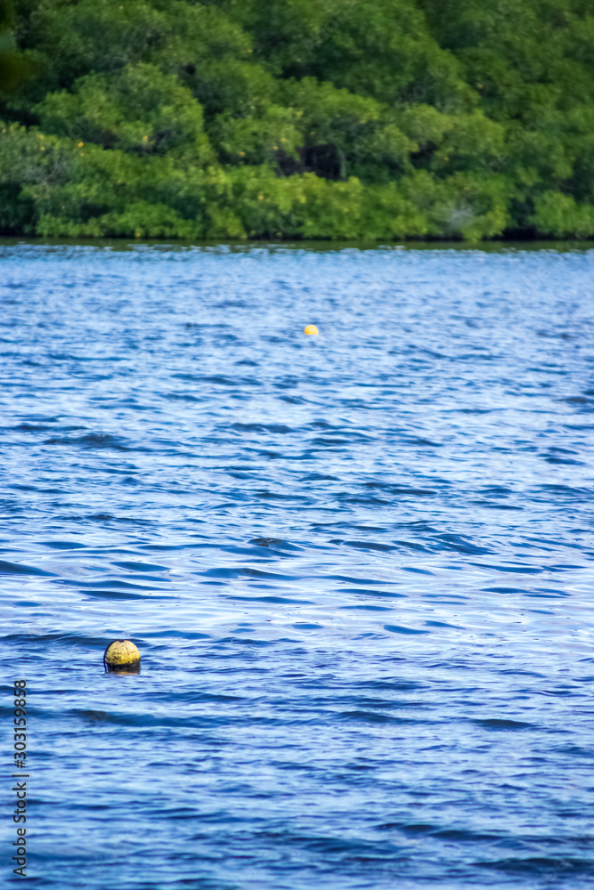 Crab trap buoy floating amongst waves on mangrove bay in FL Stock Photo