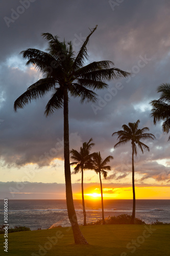 Palm Tree Sunset At Napili Point  Maui