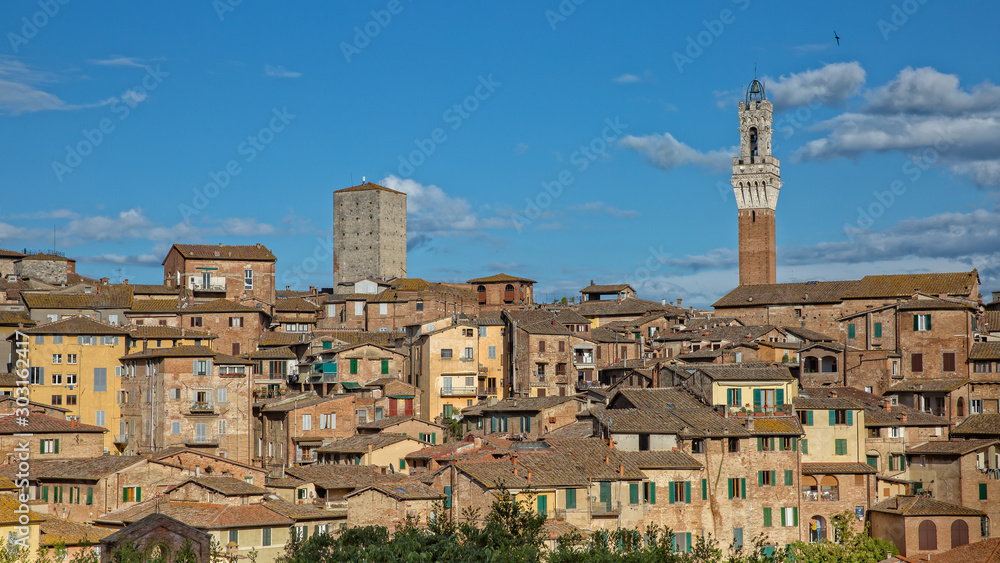 Old houses in historic centre in Siena. View of the roofs in historic centre and Torre del Mangia, tower of Palazzo Pubblico in Siena, Tuscany, Italy