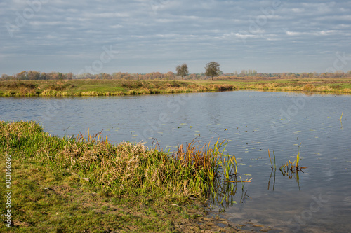 Backwaters of the river Bug near Kuligow, Masovia, Poland photo