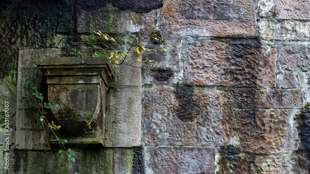 Weeds growing from corner stone