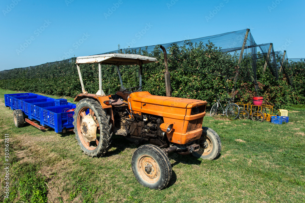 Tractor in apple farm. Tractor and trailer with crates for apples. Tractor in apple farm. Tractor and trailer with crates for apples.