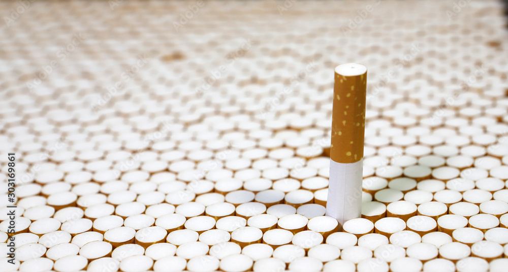 cigarette filters Empty cigarette paper top view Several white