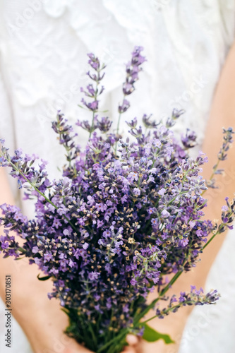 Tender bows of a girl holding a bouquet of medicinal lavender