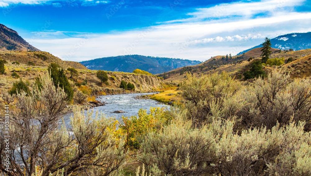 Shostone river with wild plants and brush in Yellowstone National park