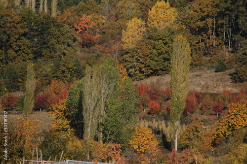 autumn in the village