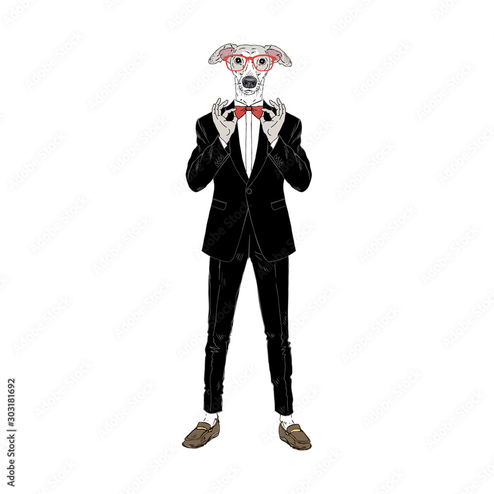 Humanized Italian Greyhound breed dog dressed up in classy outfits. Design for dogs lovers. Fashion anthropomorphic doggy illustration. Animal wear tuxedo, tie bow, glasses. Hand drawn vector. Humanized Italian Greyhound breed dog dressed up in classy outfits. Design for dogs lovers. Fashion anthropomorphic doggy illustration. Animal wear tuxedo, tie bow, glasses. Hand drawn vector.