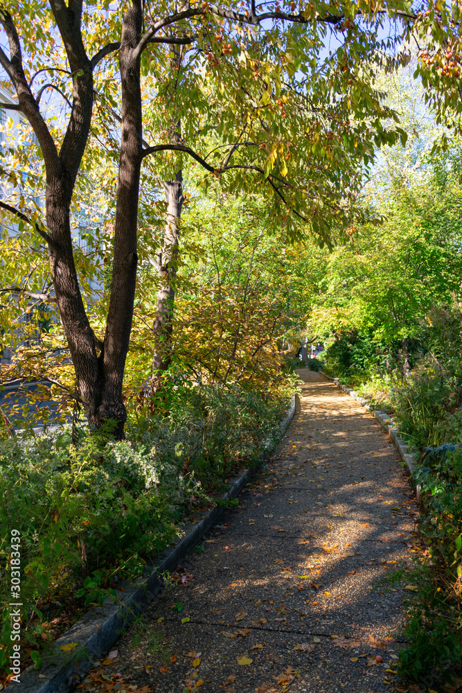 Path with Colorful Trees during Autumn in Washington D.C. Path with Colorful Trees during Autumn in Washington D.C.