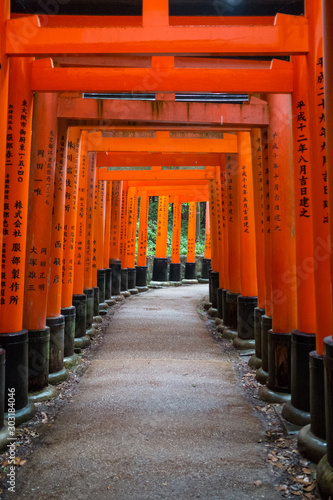 Fushimi Inari-taisha © Oscar