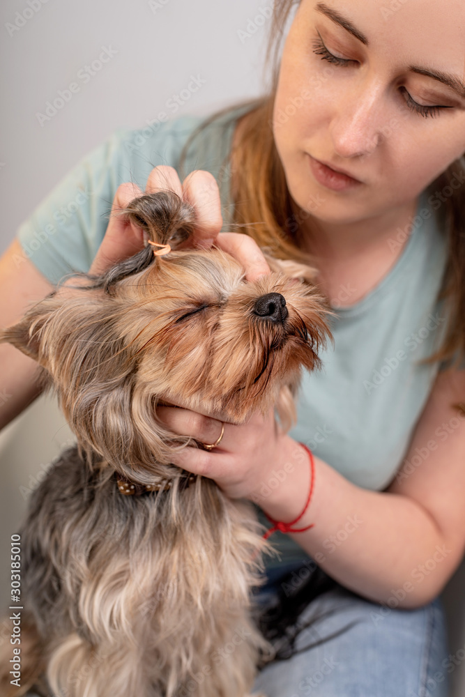 Woman sitting with the yorkshire terrier Woman sitting with the yorkshire terrier