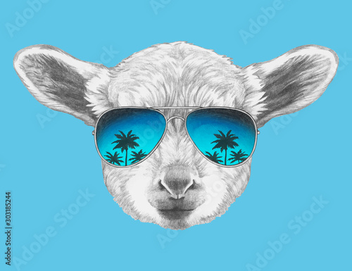 Portrait of Lamb with sunglasses. Hand-drawn illustration. Vector isolated elements. 