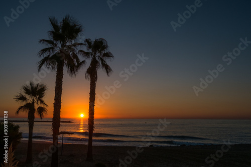  Beach landscape at sunrise with palm trees silhouettes in the Mediterranean sea